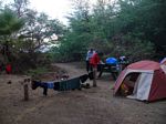 Camp Olowalu - Again
